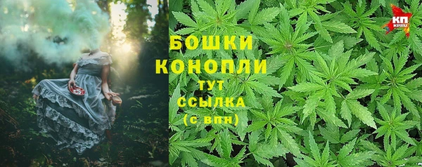 таблы Белокуриха