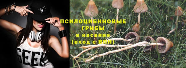 таблы Белокуриха