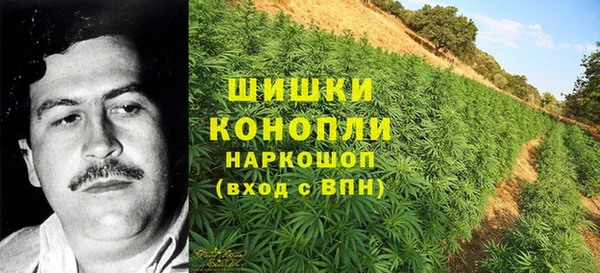 таблы Белокуриха